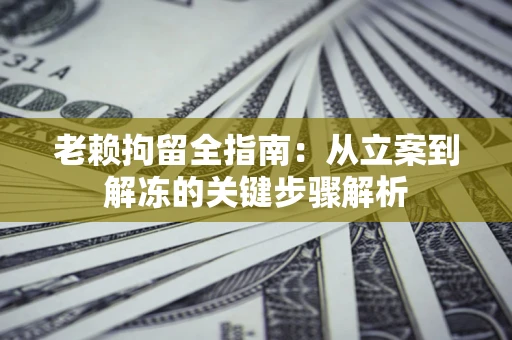 武汉老赖拘留全指南：从立案到解冻的关键步骤解析