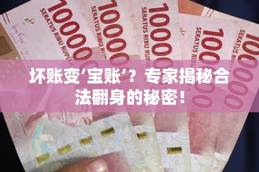 武汉坏账变‘宝账’？专家揭秘合法翻身的秘密！