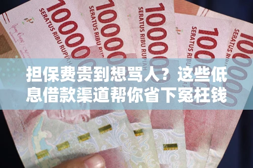 武汉担保费贵到想骂人？这些低息借款渠道帮你省下冤枉钱