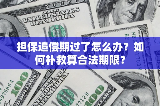 武汉担保追偿期过了怎么办？如何补救算合法期限？