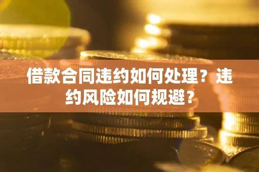 武汉借款合同违约如何处理？违约风险如何规避？
