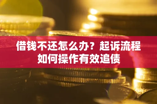 武汉借钱不还怎么办？起诉流程如何操作有效追债