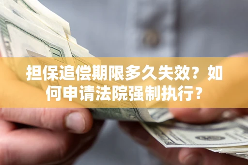 武汉担保追偿期限多久失效？如何申请法院强制执行？