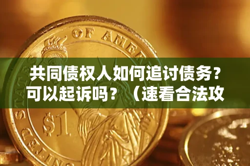 武汉共同债权人如何追讨债务？可以起诉吗？（速看合法攻略）