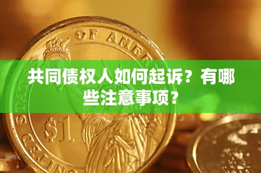 武汉共同债权人如何起诉？有哪些注意事项？